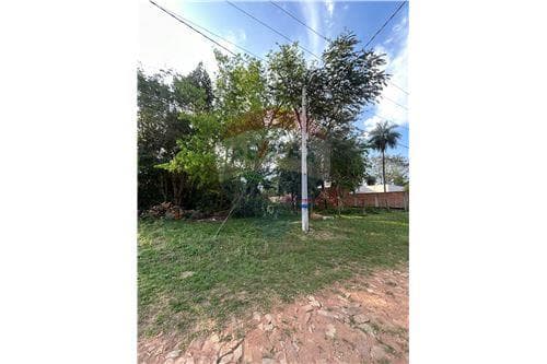 Amplio terreno en San Bernardino — foto 3