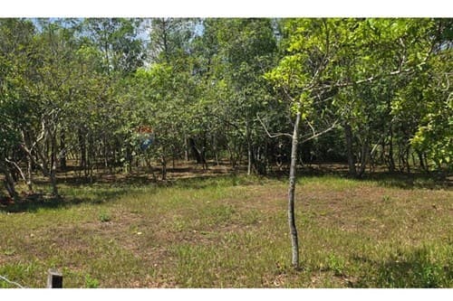 En venta 4 terrenos juntos - Atyra — foto 4