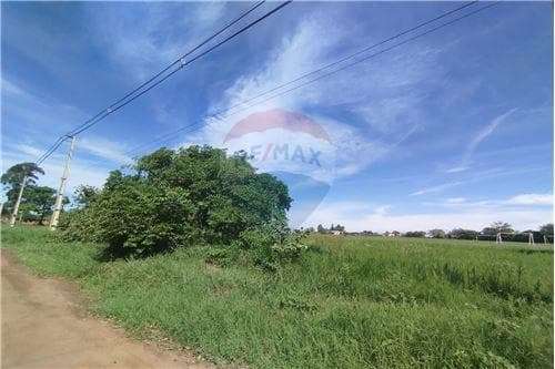 Loteamiento en carmen del parana, foto 4
