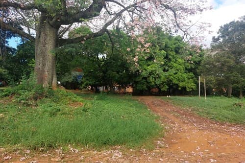 terreno en Takuruty Villeta, foto 3