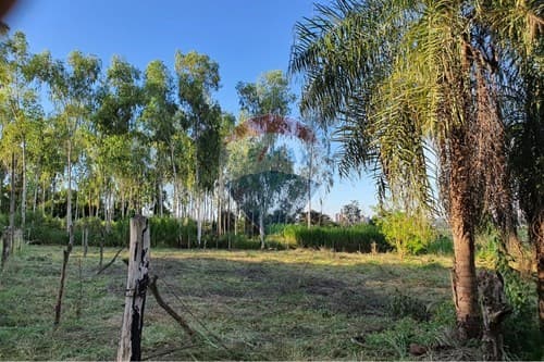 Terreno Exclusivo en 3 Fronteras: ¡Invierte Hoy! — foto 2