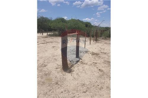 Campo de 8.141 há en el departamento de Boquerón, hacia la frontera con Argentina — foto 4