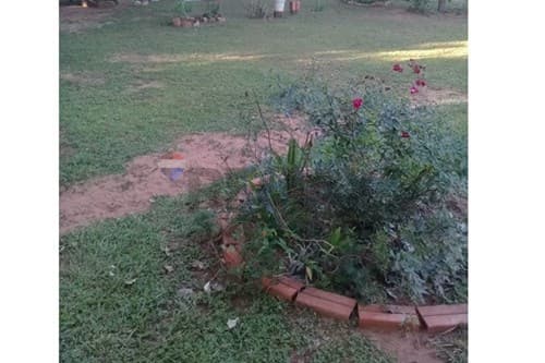 VENTA-Terreno 8125m² en Emboscada — foto 5