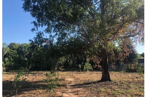terreno en el Chaco - Benjamín Aceval — foto 4