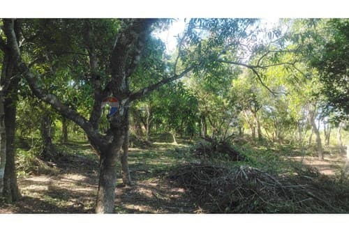 2 terrenos en loma grande - agua-y — foto 3