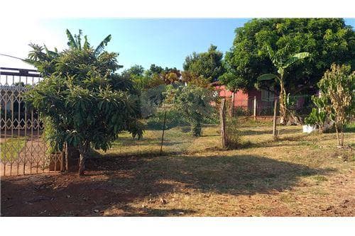 Hermoso terreno en San Juan del Paraná — foto 3