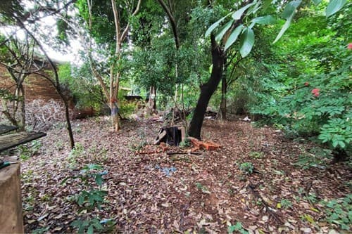 Terreno en venta en campo grande Luque, foto 3