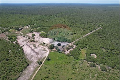 Campo 3.749 Has. 7800 m2- Pte. Hayes Ruta Ñ — foto 3