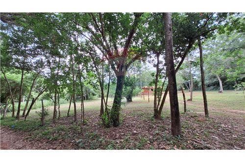 Amplio terreno en venta en dist. De eusebio ayala — foto 4