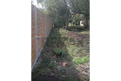 Terreno en limpio isla aveiro — foto 2
