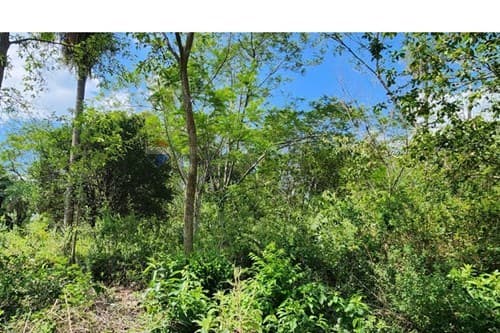 Terreno en venta en limpio – fracción campo alto — foto 3