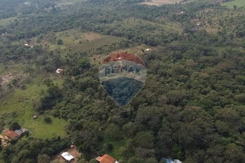 Campo- Arroyos y Esteros- Cordillera, foto 5
