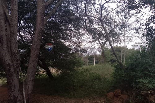 Terreno en Luque-yukyry, foto 4
