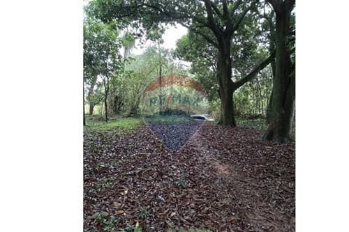 de terreno en Ita, tape tuja, foto 4