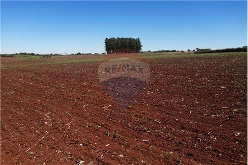 Terreno de 4 has. 0005 m2 ubicado en cambyretá — foto 5