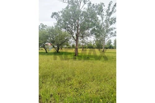 Vento 4 terre nos en Falcon ( Nueva Asuncion), foto 3