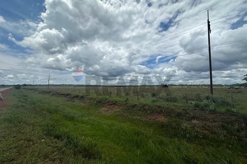 De 14,5 hectáreas coronel oviedo — foto 5