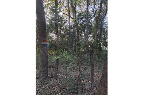 Terreno en Mariano Roque Alonso, foto 5