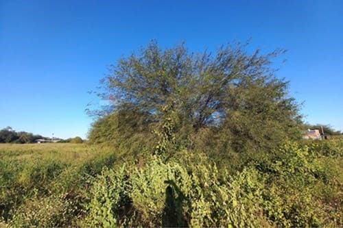 Terreno Residencial en Venta — foto 3