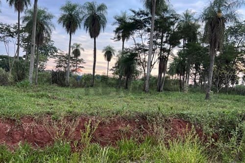 ¡Terreno Ideal para Inversión! 15 Lotes en Itauguá, foto 4