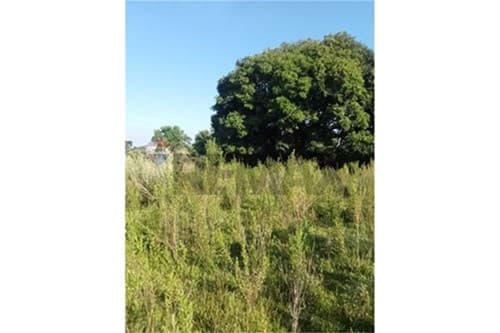 En venta 9 hectáreas en coronel bogado, foto 3