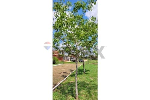 Terreno en venta – limpio, foto 3