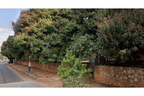 Inversión única de 3 HAS Lote Guazú, San Lorenzo, foto 5