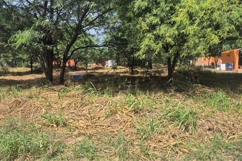 ¡Terrenos en el corazón del Chaco Paraguayo! — foto 5