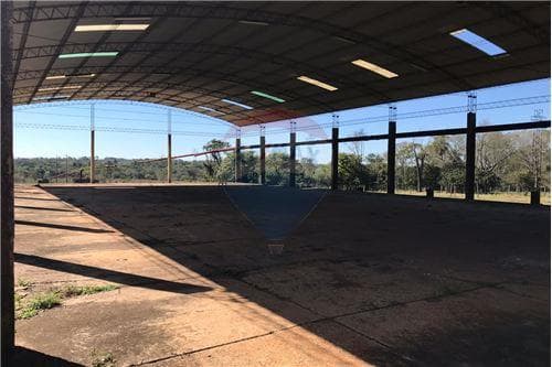 Ahora! Campo de 10 ha sobre ruta 02 con depositos — foto 5