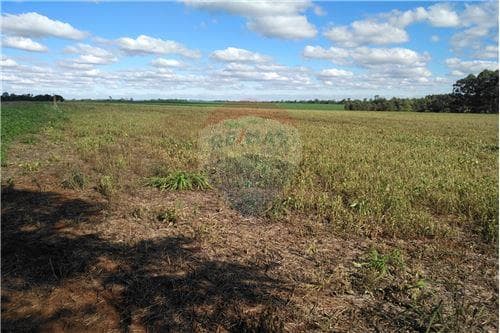 Terreno en PRODUCTIVO TERRENO, Obligado — foto 4