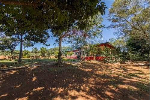 🏡 𝗔𝗠𝗣𝗟𝗜𝗔 𝗥𝗘𝗦𝗜𝗗𝗘𝗡𝗖𝗜𝗔 𝗗𝗘 𝟭.𝟲𝟱𝟮 𝗠² 𝗘𝗡 𝗡𝗨𝗘𝗩𝗔 𝗖𝗢𝗟𝗢𝗠𝗕𝗜𝗔 🌿, foto 4
