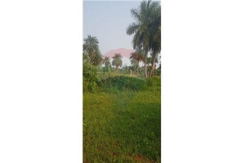 Terreno en villeta - 420 m2, foto 4