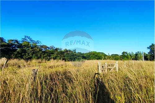 Terreno, 7 lotes ideal para reventa o casa quinta — foto 4