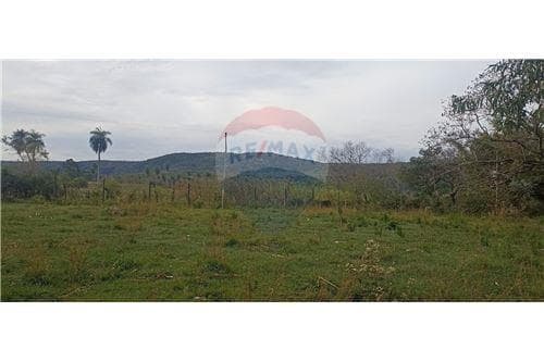 Terreno en paraguari, foto 5