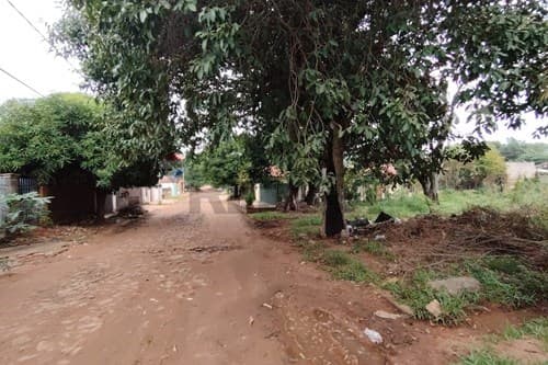 Terreno 420m2 laurelty - Luque — foto 2