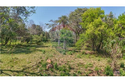 Lotes a metros de la ruta Luque - sanber — foto 2