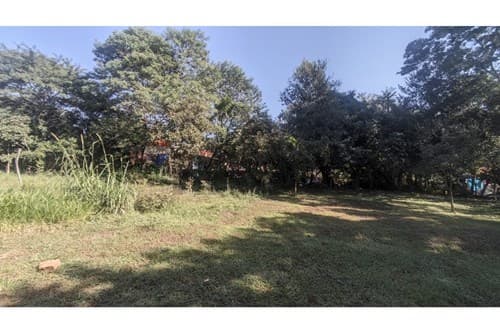 Terreno en Luque, Marin Ka'aguy — foto 5