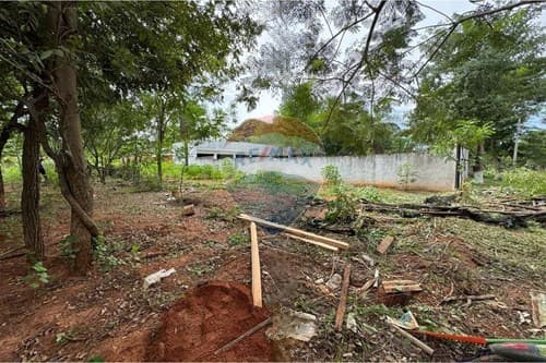 Terreno en caacupemi aregua — foto 3