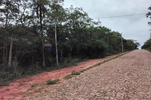 Terreno 6,3 Ha en Nueva Colombia — foto 2