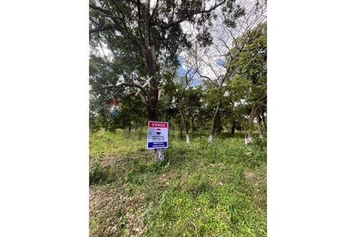 Terreno - venta - caacupe -cordillera -paraguay, foto 2