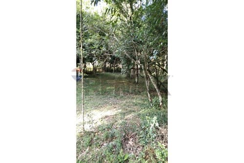 En venta 6 hectareas en itacurubi de la cordillera — foto 3