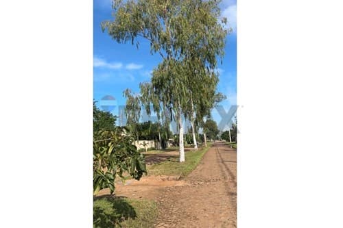 En venta terreno en puerta del lago — foto 2