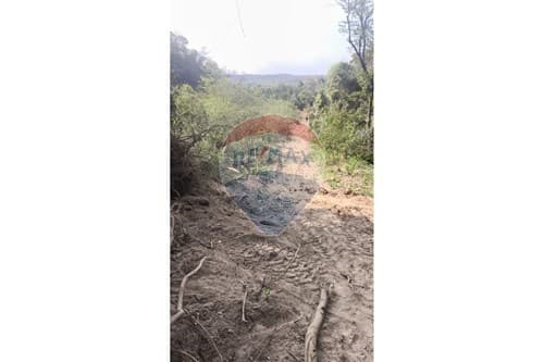 Terreno en Eusebio Ayala: ¡Tu inversión ideal! — foto 3