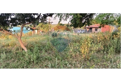Terreno en caacupe-oferta — foto 5