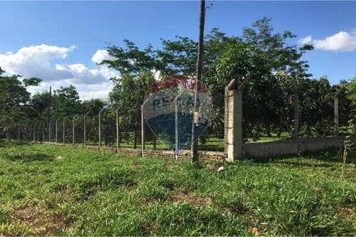 Dos terrenos juntos en j.a.saldivar — foto 4