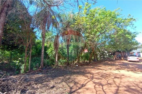 Terreno en isla bogado — foto 2