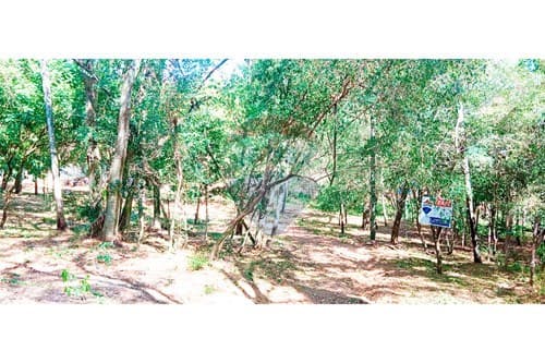 2.000 m2 terreno en san ber – z.anfiteatro — foto 5