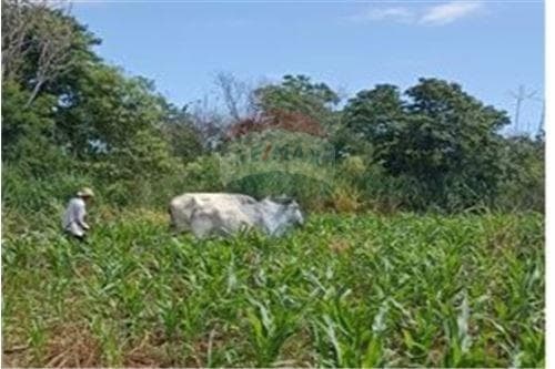 vendoTerreno de 70 hectáreas -MBUYAPEY-PARAGUARI
