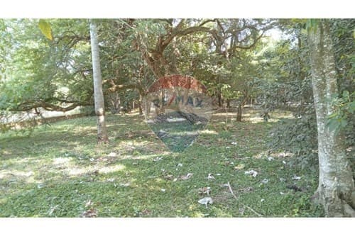 Amplio Terreno en altura- San Bernardino — foto 2