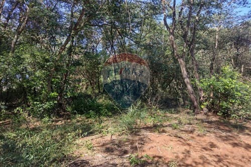 "Own Your Dream Home Plot in Aregua Paradise" — foto 5